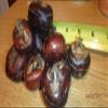 8 Bulbs of Chineese Water Chestnuts (Eleocharis dulcis), Sweet, Edible view 3