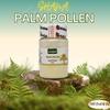 Shana Palm Pollen Powdered Natural Pure Date (1 Pack = 1.76 oz / 50 gm) view 2
