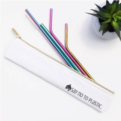 DOLPHIN SAY NO TO PLASTIC Stainless Steel Metal Straw Set RAINBOW