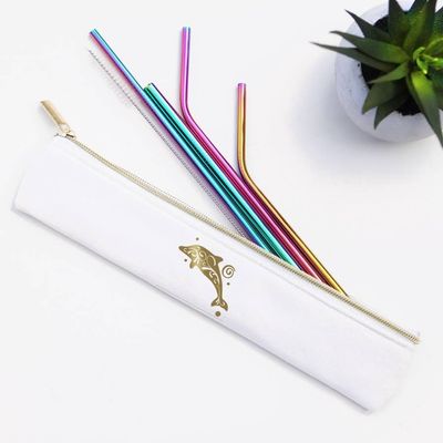 DOLPHIN Stainless Steel Metal Straw Set RAINBOW