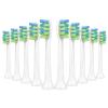 Toolsy 10 PCS Replacement Heads Compatible with 7am2m AM100/AM101/AM105/AM111 Electric Toothbrush, 10 Count (White) view 1