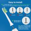 Toolsy 10 PCS Replacement Heads Compatible with 7am2m AM100/AM101/AM105/AM111 Electric Toothbrush, 10 Count (White) view 3