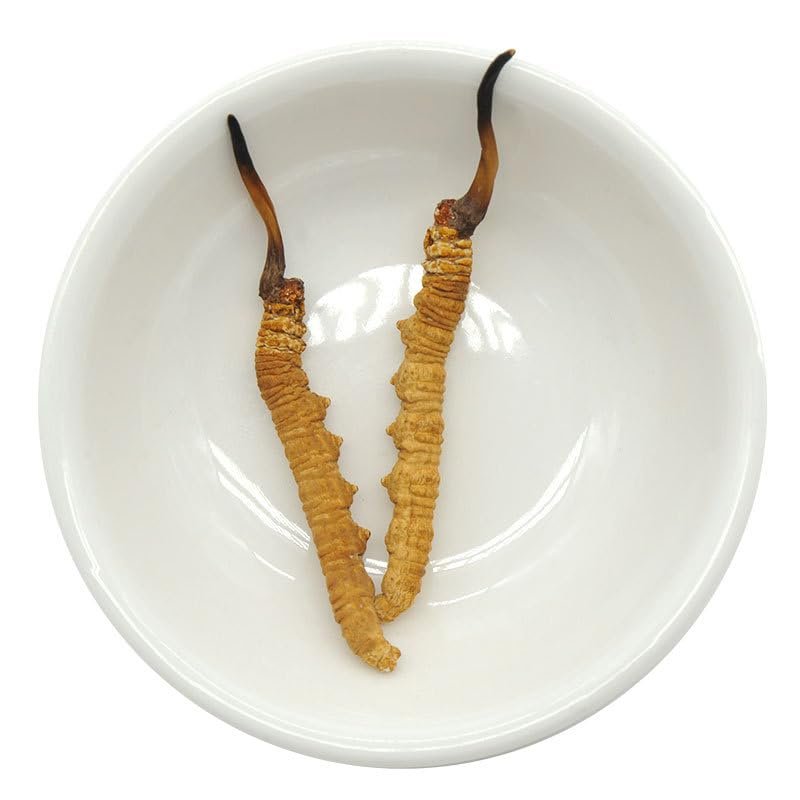 Akersunder Genuine Dried Cordyceps sinensis/winterworm summerherb, Ophiocordyceps sinensis, naqu cordyceps nagqu Featured, 1g. (2 pcs)