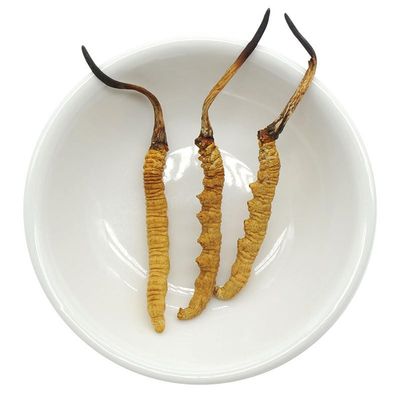 Akersunder Genuine Dried Cordyceps sinensis/winterworm summerherb, Ophiocordyceps sinensis, naqu cordyceps nagqu Featured, 1g. (3 pcs)