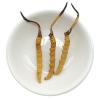 Akersunder Genuine Dried Cordyceps sinensis/winterworm summerherb, Ophiocordyceps sinensis, naqu cordyceps nagqu Featured, 1g. (3 pcs) view 1