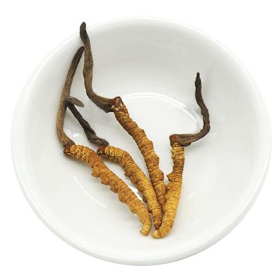 Akersunder Genuine Dried Cordyceps sinensis/winterworm summerherb, Ophiocordyceps sinensis, Tibet Featured, (4 pcs) net Weight 1g.
