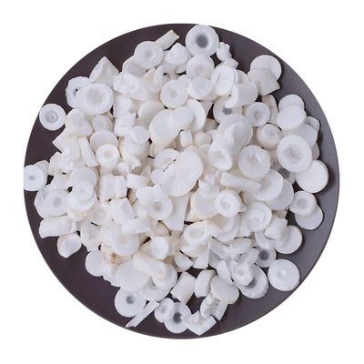Akersunder Big ricepaper Pith/Rice Plant Pith/Pith Paper Plant/tetrapanax papyriferus 500g.