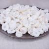 Akersunder Big ricepaper Pith/Rice Plant Pith/Pith Paper Plant/tetrapanax papyriferus 500g. view 2