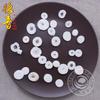 Akersunder Big ricepaper Pith/Rice Plant Pith/Pith Paper Plant/tetrapanax papyriferus 500g. view 3