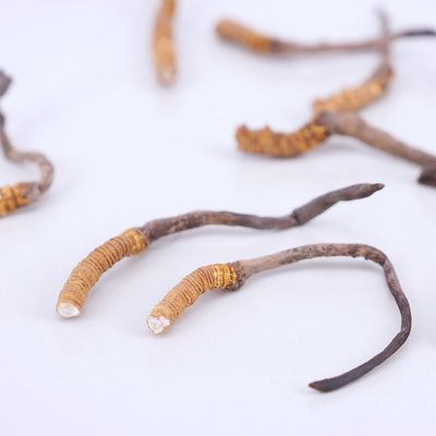 Akersunder Genuine Dried Cordyceps sinensis/winterworm summerherb, Ophiocordyceps sinensis, naqu cordyceps, 1g. (Broken Grass with Tail)