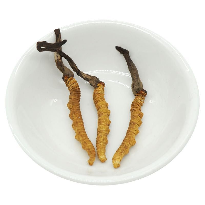 Akersunder Genuine Dried Cordyceps sinensis/winterworm summerherb, Ophiocordyceps sinensis, Tibet Featured, (3 pcs) net Weight 1g.