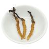 Akersunder Genuine Dried Cordyceps sinensis/winterworm summerherb, Ophiocordyceps sinensis, Tibet Featured, (3 pcs) net Weight 1g. view 1