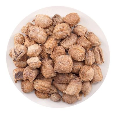 Akersunder Mantis Egg-case/Ovum of Mantis/tenodera aridifolia Stoll 500g. Dried
