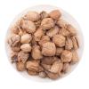 Akersunder Mantis Egg-case/Ovum of Mantis/tenodera aridifolia Stoll 500g. Dried view 1
