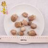 Akersunder Mantis Egg-case/Ovum of Mantis/tenodera aridifolia Stoll 500g. Dried view 2