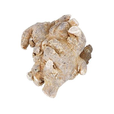 Akersunder WNH/Wenshan Yunnan Pseudo-Ginseng Radix Notoginseng Dried Root 500g. (30 pcs witout Snip)