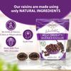 Hayden Valley Foods Milk Chocolate Covered Raisins | 26 oz Resealable Bag | No Artificial Flavors, Preservatives or Colors | Bulk Gourmet Sweet Fruit Snack view 2