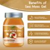 QANLOI Seamoss Raw Gel with Irish Sea Moss,Sea Moss Supplement-Immune Support-18.5OZ Sea Moss Advanced (Apple Cinnamon) view 2