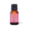 Aromatics International Premium Organic Fingerroot Essential Oil 18ml | 100% Pure Essential Oil for Diffusion & Aromatherapy view 1