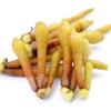 Aromatics International Premium Organic Fingerroot Essential Oil 18ml | 100% Pure Essential Oil for Diffusion & Aromatherapy view 2