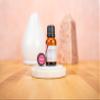 Aromatics International Premium Organic Fingerroot Essential Oil 18ml | 100% Pure Essential Oil for Diffusion & Aromatherapy view 3