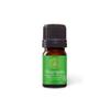 Aromatics International Premium Organic Gingergrass Essential Oil 5ml | 100% Pure Essential Oil for Diffusion & Aromatherapy view 1