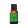 Aromatics International Premium Organic Utah Juniper Essential Oil 18ml | 100% Pure Essential Oil for Diffusion & Aromatherapy view 1