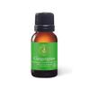 Aromatics International Premium Organic Gingergrass Essential Oil 18ml | 100% Pure Essential Oil for Diffusion & Aromatherapy view 1