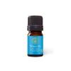 Aromatics International Premium Organic White Fir Essential Oil 5ml | 100% Pure Essential Oil for Diffusion & Aromatherapy view 1