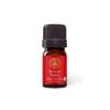 Aromatics International Premium Organic Balsam Poplar Essential Oil 5ml | 100% Pure Essential Oil for Diffusion & Aromatherapy view 1
