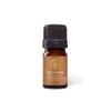Aromatics International Premium Organic Palo Santo Holy Wood Essential Oil 5ml | 100% Pure Essential Oil for Diffusion & Aromatherapy view 1