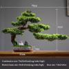 Faux Bonsai Indoor Chinese Simulation Welcome Pine Bonsai Landscape Fake Plant Pine Bonsai Tree Living Room Decorations Desktop Potted Tree view 2