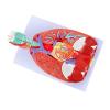Thereisno Human Anatomical Lung Model for Disease Study,Heart Lung Throat Model Anatomy Shows Details of Lung Trachea System view 2