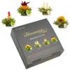 Creano 4 tea Flowers in elegant Gift Box - Blooming Tea White & Green Tea in Cup Size view 1