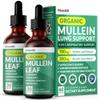 5-in-1 Mullein Drops for Lungs and Bronchial - Respiratory Lung Health Support with Mullen Leaf Extract for Lungs - Mullein Tincture with Elderberry, Echinacea and Ginger Root (60 Servings) (2-pack) view 1
