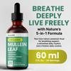 5-in-1 Mullein Drops for Lungs and Bronchial - Respiratory Lung Health Support with Mullen Leaf Extract for Lungs - Mullein Tincture with Elderberry, Echinacea and Ginger Root (60 Servings) (2-pack) view 2