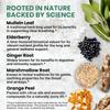 5-in-1 Mullein Drops for Lungs and Bronchial - Respiratory Lung Health Support with Mullen Leaf Extract for Lungs - Mullein Tincture with Elderberry, Echinacea and Ginger Root (60 Servings) (2-pack) view 3