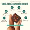GEM Bite Complete Routine Variety Pack with Daily Multivitamin (14 Bites), Chill-Out Calm (7 Chews) & Deep Sleep Aid (7 Chews) | Supports Gut, Skin, Brain, Bone, Sleep, Immunity view 3