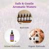 Aromatics International Chai Co-distill Hydrosol 100ml | Warm Spicy Peppery Natural Aromatic Mist for Home, Mood & Daily Use view 4
