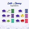 BLUE TEA - Butterfly Pea Flower Tea Gift Set (6 Flavors, 30 Count - Plant Based) | FLORAL FLAVOR | Caffeine Free - Non-Bitter - Herbal Tea - Variety pack - Flower Based | Gifts for Him and Her view 3