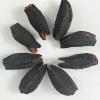 WonderLand Herbs Cucumaria frondosa Wild Dried Sea Cucumber 500g. (15-20 pcs) view 4
