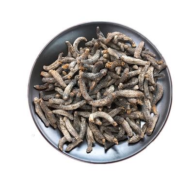 WonderLand Herbs Stichopus japonicus Wild Dried Sea Cucumber 500g. (220-250 pcs)