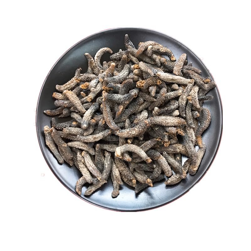 WonderLand Herbs Stichopus japonicus Wild Dried Sea Cucumber 500g. (220-250 pcs)