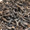 WonderLand Herbs Stichopus japonicus Wild Dried Sea Cucumber 500g. (220-250 pcs) view 2