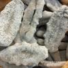 WonderLand Herbs Wholesale African Dried ASPIDOCHIROTIDA/Echinodermata/Holothuroidea Sea Cucumber Dry Goods 500g. (2 to 4 pcs) view 4