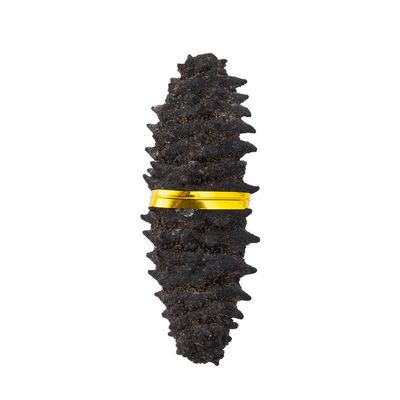 WonderLand Herbs Wild Dried Dragon Design Sea Cucumber Selection 500g. (10-20 pcs)