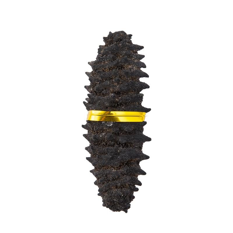 WonderLand Herbs Wild Dried Dragon Design Sea Cucumber Selection 500g. (10-20 pcs)