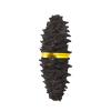 WonderLand Herbs Wild Dried Dragon Design Sea Cucumber Selection 500g. (10-20 pcs) view 1