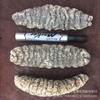 WonderLand Herbs Wild Dried Dragon Design Sea Cucumber Selection 500g. (10-20 pcs) view 4