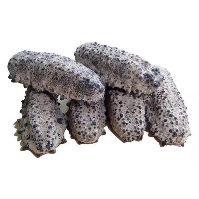 WonderLand Herbs First-Hand Source of Well-Chosen Dried sea Cucumbers from Mexico and South America 500g. (80-100 pcs)
